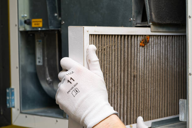 Best HVAC Maintenance and Cleaning  in Highwood, IL