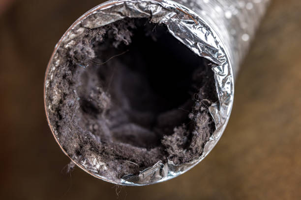 Best Local Air Duct Cleaning Services  in Highwood, IL
